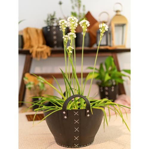 Planters