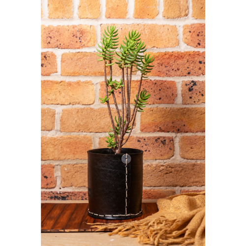 Barrel Rubber Planters