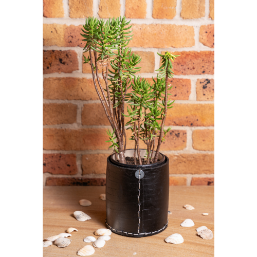 Barrel Rubber Planters