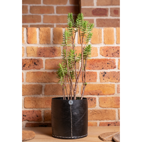 Barrel Rubber Planters