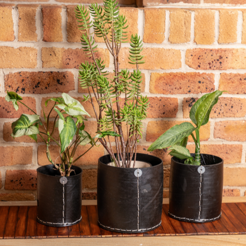 Barrel Rubber Planters