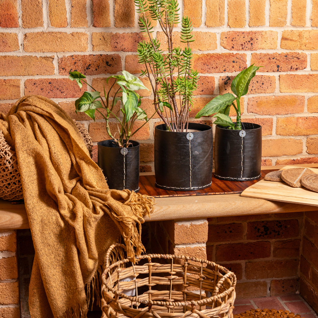 Barrel Rubber Planters