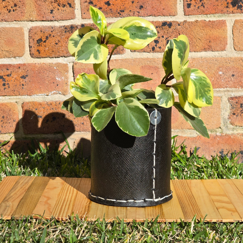 Barrel Rubber Planters